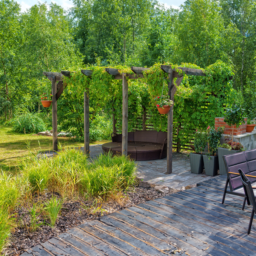 Overkapping idee: Pergola met klimmop in een groene achtertuin