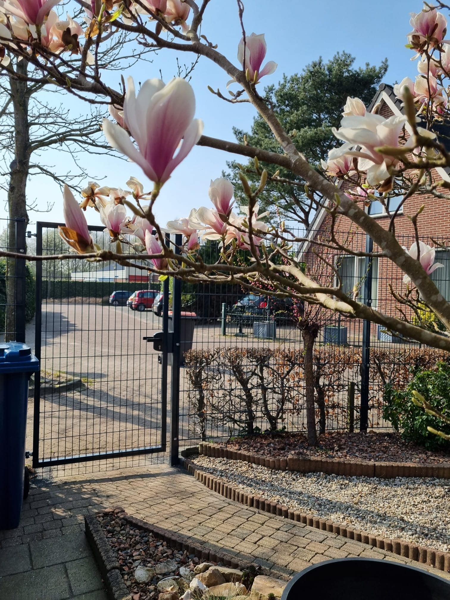 Haal je meer leven naar je tuin