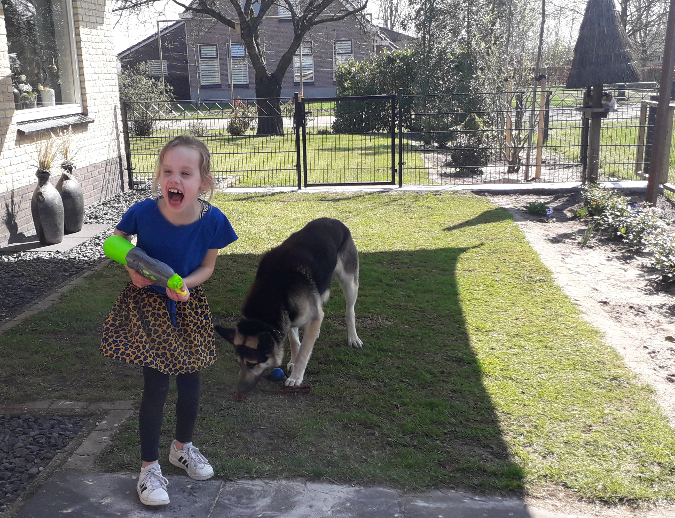 Droomtuin voor kinderen: 4 ideeën
