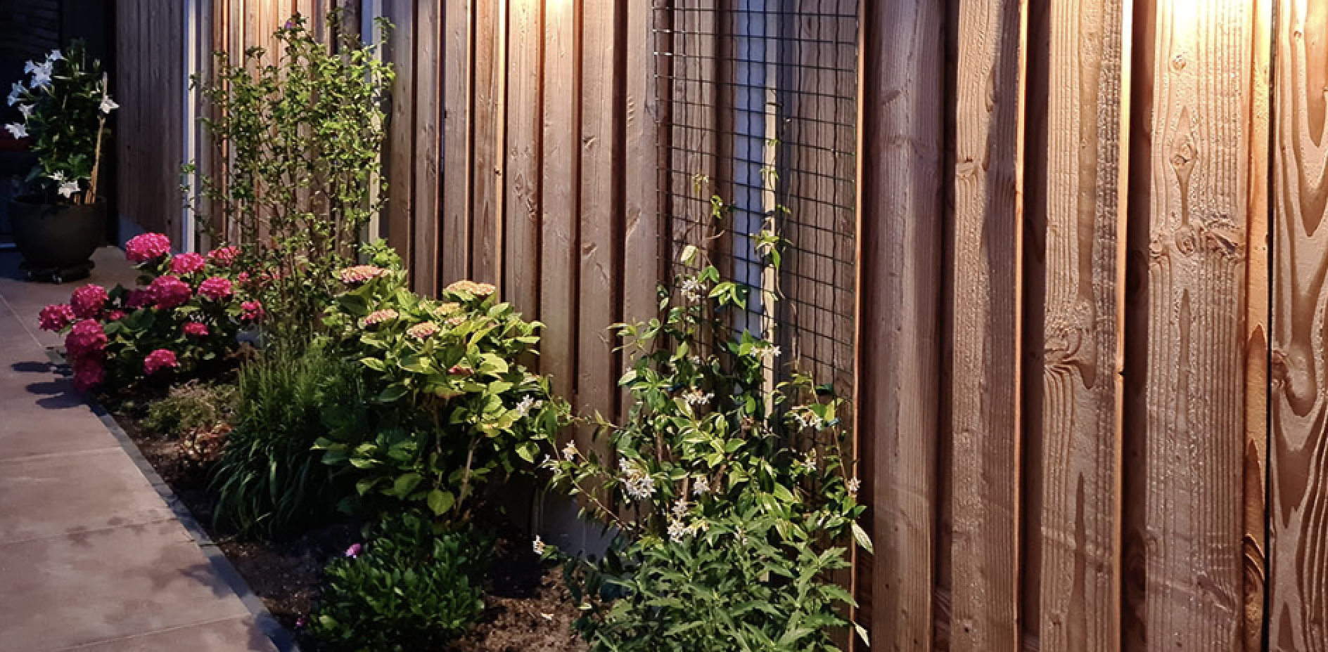 3 tips hoe je je schutting kunt gebruiken voor een verticale moestuin