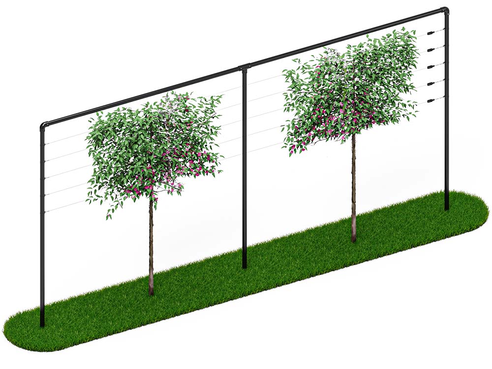 Leibomen frame