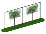 Leibomen frame 6 meter Zwart