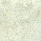Keramische tuintegel Sand Stone-Sand Stone Bianco-60 x 60 x 2