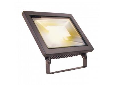 Garden Lights | Flood | 12