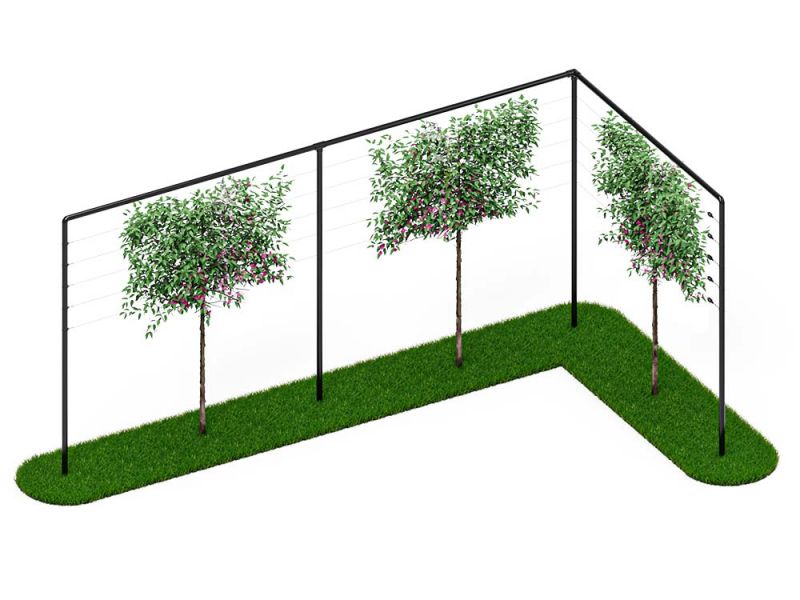 Leibomen frame 9 meter met hoek Zwart