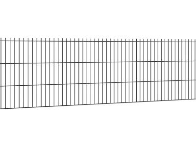 Dubbelstaafmat 250 cm breed 63 cm hoog Kleur RAL9005 Ø 6/5/6
