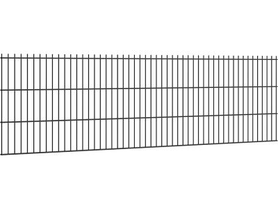 Dubbelstaafmat 250 cm breed 63 cm hoog Kleur: RAL9005 Ø 8/6/8