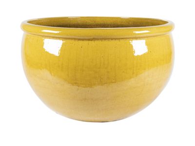 Bowl Empire | 51 cm hoog | Diverse kleuren