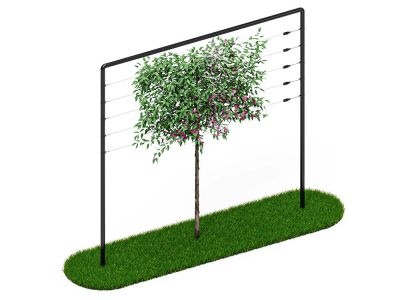 Leibomen frame 3 meter Zwart