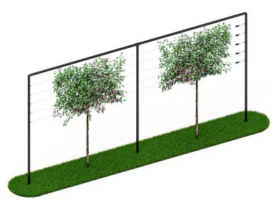 Leibomen frame 6 meter Zwart