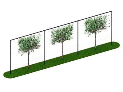 Leibomen frame 9 meter Zwart