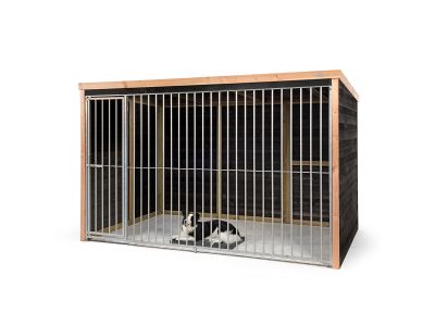 Hondenkennel | Dave