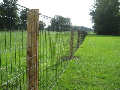 Natuurlijke uitstraling met stevige ondersteuning