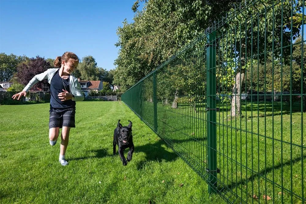 Smart and Strong: V-Mesh Fence