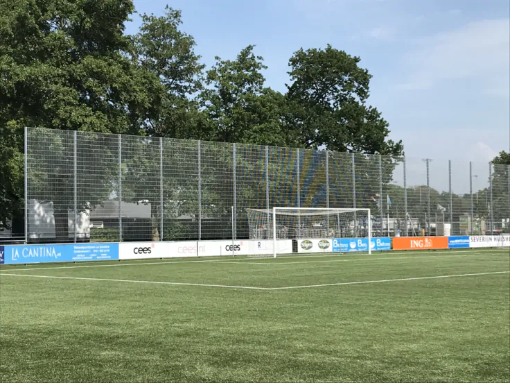 Ballenvangers